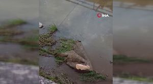 Adana’da sağlık çalışanları taleplerini duyurmak için ses yükseltti