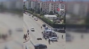 Bursa’da ölü yunus balığı kıyıya vurdu