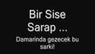 bir_sise_sarap