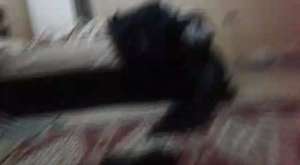 Canlı Yayın - tvaile - 2016-01-27 20:15