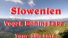 Slowenien; Vogel, Bohinj Lake 1