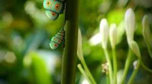 Minuscule 1. Bölüm - Uğur Böceği (E01 The ladybug)