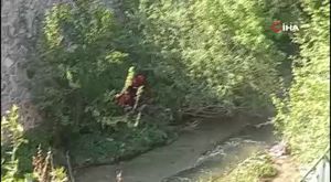 Bursa'da yaz spor okullarına renkli veda