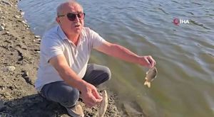 Akın akın Türkiye'ye kaçıyorlar! Duvara merdiven dayayıp...