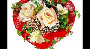 Meher Abdelnor  Iyo Rowdo 