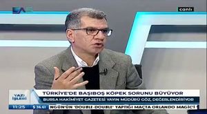 Bursa'da kaza sonrası kavgada korona unutuldu!