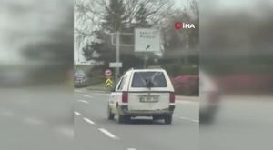 Erasmuslu öğrenciler Bursa Hayvanat Bahçesi’nde