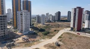 Adana'da orman yangını