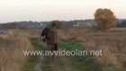 Atmaca İle Geyik Avı
