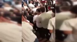 Bursa'da ölmek üzereyken bulduğu kuşu ağzıyla besliyor