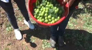 Boşanma aşamasındaki eşini öldürüp, kayınpederini yaraladı!