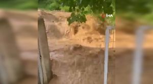 KOZMETİK MAĞAZASI AÇILIŞINDA İZDİHAM