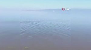 Bursa'da 4 kişinin yaralandığı kavgada 1 kişi tutuklandı