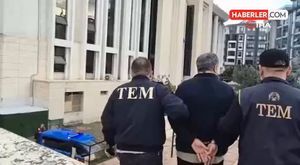 Boğa protokol tribününe daldı!