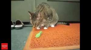 Siyasetçilerin komik Vinelerı || Politicians funny videos 