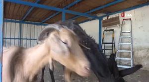 Bursa’ya nefes aldıracak ‘Yeşil’ yatırımlar sürüyor