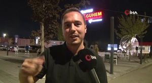 Bursa’da ölü yunus balığı kıyıya vurdu