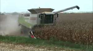 Tarım Kuşağı - Kaliteli Buğday Üretimi
