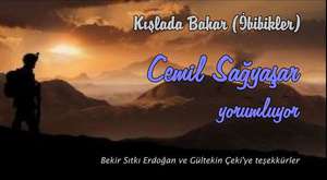 cemil sağyaşar - unforgettable Love