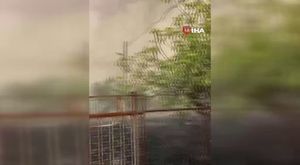 Türkiye'de çıkarılıyor 37 ülkeye ihraç ediliyor: 