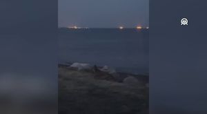 Besiciye yeni ve kuraklığa dayanıklı bir ot; 