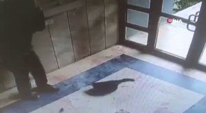 Fotoğraf çektirirken göle düşen çocuğunu kurtarmak için atladı