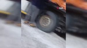 Bursa'da kraliçe arı ortalığı karıştırdı! Sokağı istila ettiler...