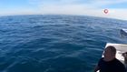 Türk balıkçı Yunan sahil güvenliğine ders verdi!