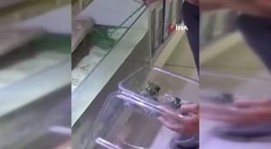 Bursa'da Dikkaldırım Mahallesi'nde zincirleme kaza!