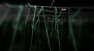 Adana dahil 9 ilde dev siber operasyon: 8.3 milyar liralık suç trafiği, 89 tutuklama