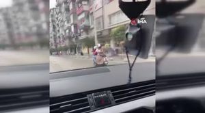 Bursa’da ölü yunus balığı kıyıya vurdu