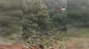 Kayıpmaz: Daha sert tedbirler hızlıca devreye sokulabilir!