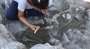 Gelin gibi süsledikleri hayvanlar ile kemençe eşliğinde yollara düştüler