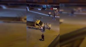 Bursa'da aç kalan domuz sürüsü şehre inip yemek aradı