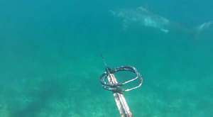 İnanılmaz gerçeklikte balmumu heykellerin yapımı