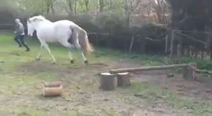 At ile Oyun Oynamaya Çalışan Kızın Hazin Sonu 