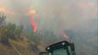 Beypazarı'nda orman yangını