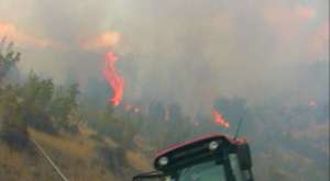 Beypazarı'nda orman yangını