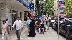Yine pitbull dehşeti! Kafesi parçaladı, boğarak öldürdü...