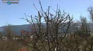 Buster`dan Mektup Var 3. Bölüm 