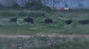  Bursa'da oğlunun öldüğü kazada yaralanıp acı haberi psikologdan öğrenen babaya hapis cezası!