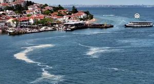 Müşteri kılığıyla geldi, kahve kolileriyle gitti! O anlar kamerada