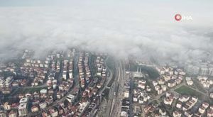 Bursa Gökdere'de ceset şoku!