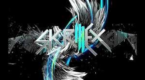 Skrillex - love in motion