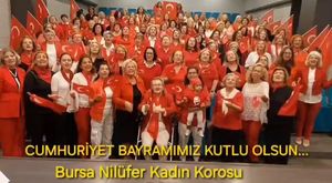 Bursa'da kontrolden çıkan otomobil bahçeye uçtu