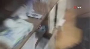 Adıyaman'da zincirleme trafik kazası: 3 yaralı