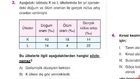 NE KADAR ÖĞRENDİK TESTİ SORU ÇÖZÜMÜ