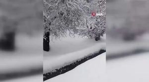 Bursa'da park halindeki kamyonet alev alev yandı