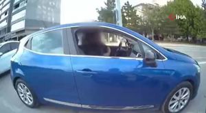 Bursa'da aslanlar onlarca kilo eti böyle mideye indirdi!
