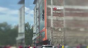 Tarsus'ta devlet ormanına buğday eken 4 kişi için hukuksal süreç başladı!